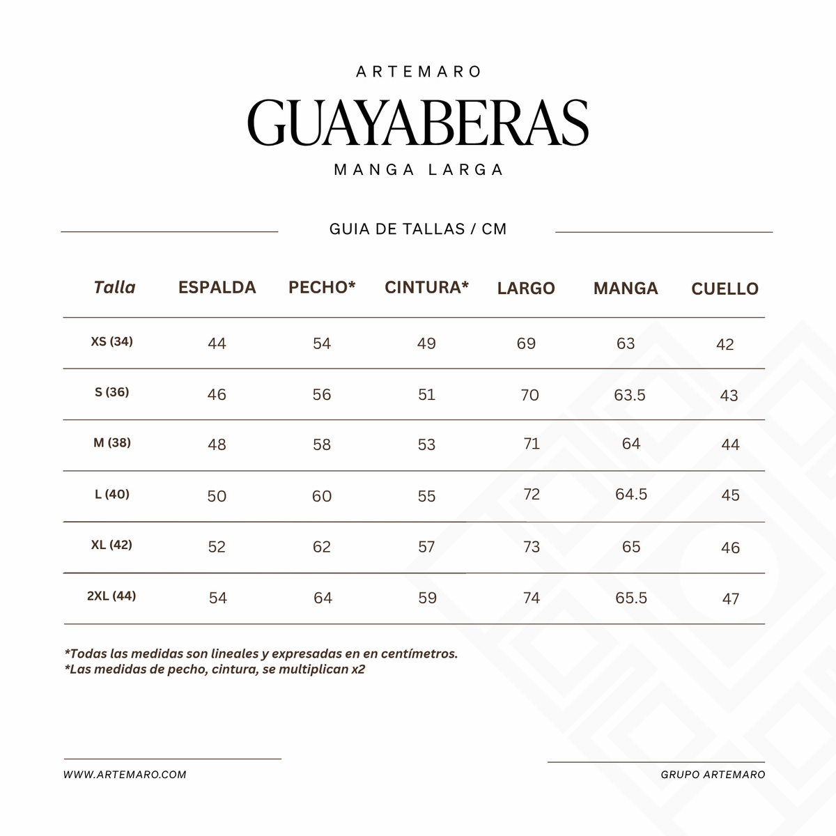 GUAYABERA DE LA CRUZ