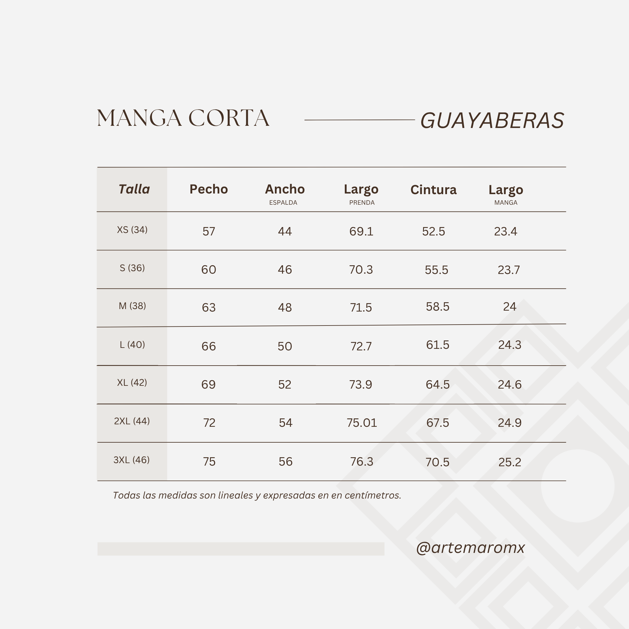 GUAYABERA ANDRÉ AZUL JAZ OS